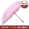 송월우산 로얄레이나 2단우산 로고 우산